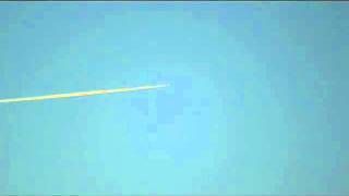 Visualized - Turbinia