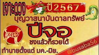 ดวงชะตาปีจอ🐶(คลิปพิเศษ)💸ชงแล้วรวย 💰ตั้งแต่ มค.-มิย.2567ขอให้รวยรับทรัพย์ปีใหม่🎉