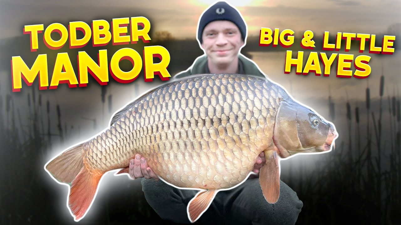 Todber Manor Big/Little Hayes Carp Fishing - 48 Hour Session