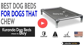 Dog Beds For Dogs That Chew | Best Dog Beds 2021 | Kuranda Dog Beds