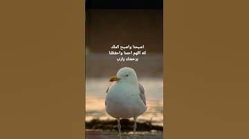 اصبحنا واصبح الملك لله #اذكار_الصباح