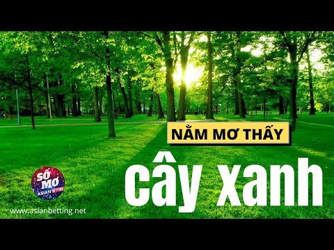 Video: Tại Sao Cây Cối Xanh Tươi