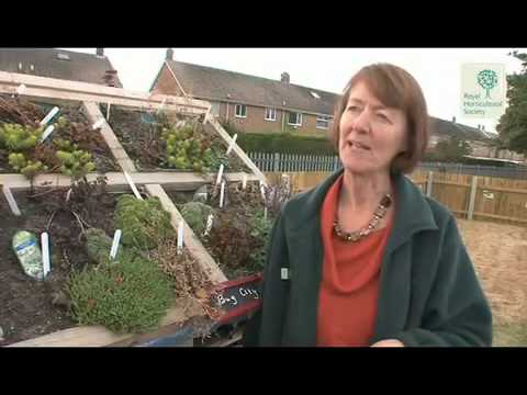 britain in bloom bbc RHS Get Your Grown Ups Growing