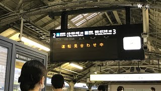 【223系急停車!!】JR琵琶湖線 大雨の影響により運転見合わせ