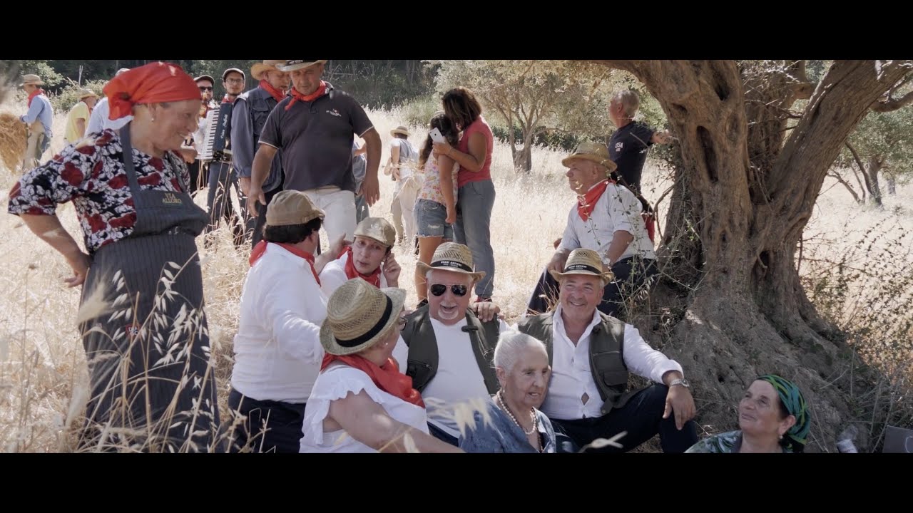 Mietitura 2022 Famiglia Drago Galati Mamertino Tenuta Nasera