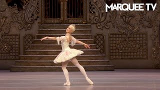 Dance of the Sugar Plum Fairy by Marianela Nuñez - The Royal Ballet | Stream on Marquee TV