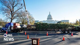 WATCH LIVE: U.S. Capitol Christmas tree arrives in Washington for the holidays