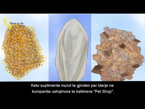 Video: Kujdesi i pjeprit kanarina – Çfarë të bëni me pjepërin kanarinë nga kopshti