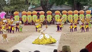 Dance showdown at Sinulog Festival 2024 #dance #dancefestival #sinulog