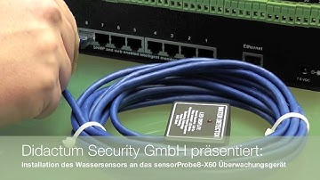 Installation des SNMP kompatiblen Sensors Wasser an das sensorProbe8-X60 Überwachungsgerät