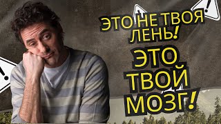 видео: 🧠Нейронная ловушка: как мозг удерживает тебя на месте картинка: 🧠Нейронная ловушка: как мозг удерживает тебя на месте