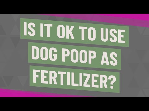 Is it OK to use dog poop as fertilizer?