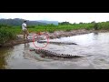 21 SCARIEST Crocodile Encounters So Far in 2021