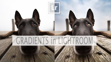 How to use the Gradient Filter in Lightroom