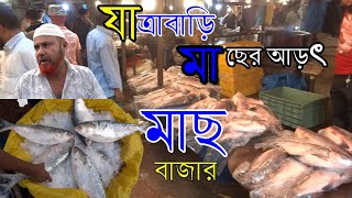 Huge big fish market & Big hilsa fish market Jatrabari Dhaka বাংলাদেশের সবচেয়ে বড় মাছের বাজার