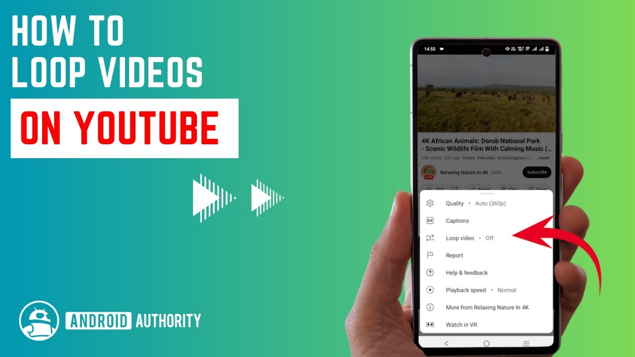 You can now loop  videos and playlists on iPhone and Android