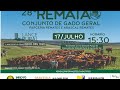 28º Rematão Conjunto de Gado Geral