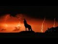 Twilight Wolves - Thunder