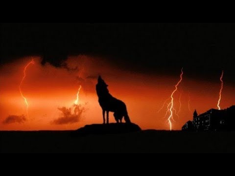 Twilight Wolves - Thunder