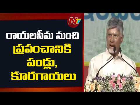 రాయలసీమను నాలెడ్జ్ ఎకానమీకి చిరునామాగా చేస్తాం: CM Chandrababu | NTV Telugu - NTVTELUGU