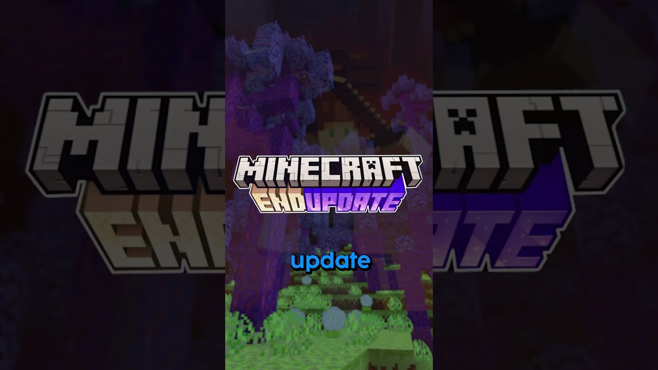 Minecraft End Update? #minecraft #minecraftshorts #gaming
