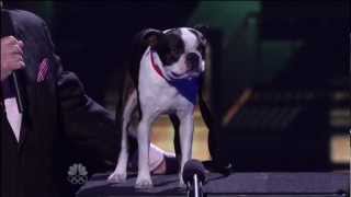 Todd Oliver, Top 48 Live ~ America's Got Talent 2012 Q1.mp4 Talking Dog