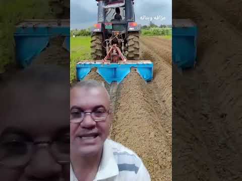 ٢ فى ١ عزاقه وبتانه