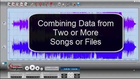 Editing  audio wav data files  | Song Surgeon