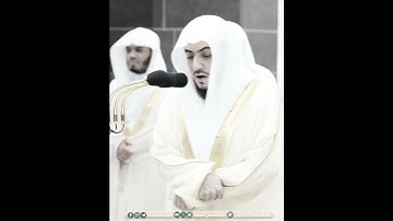 فيهما عينان نضَّاختان | تلاوة آسرة من سورة الرحمن | الوليد الشمسان رمضان 1445