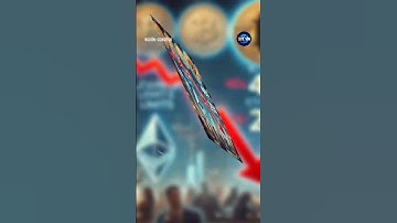 Cá voi "quẩy" lệnh 200 triệu đô, Hyperliquid lĩnh trọn cú sốc 4 triệu đô!