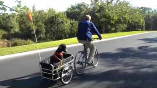 Dog transport behind a bike