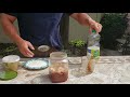 Best catfish bait recipe in the world