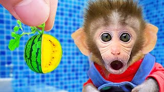 Monkey Baby BiBon enjoy eats watermelon and goes to harvest with dad in farm | Animals video