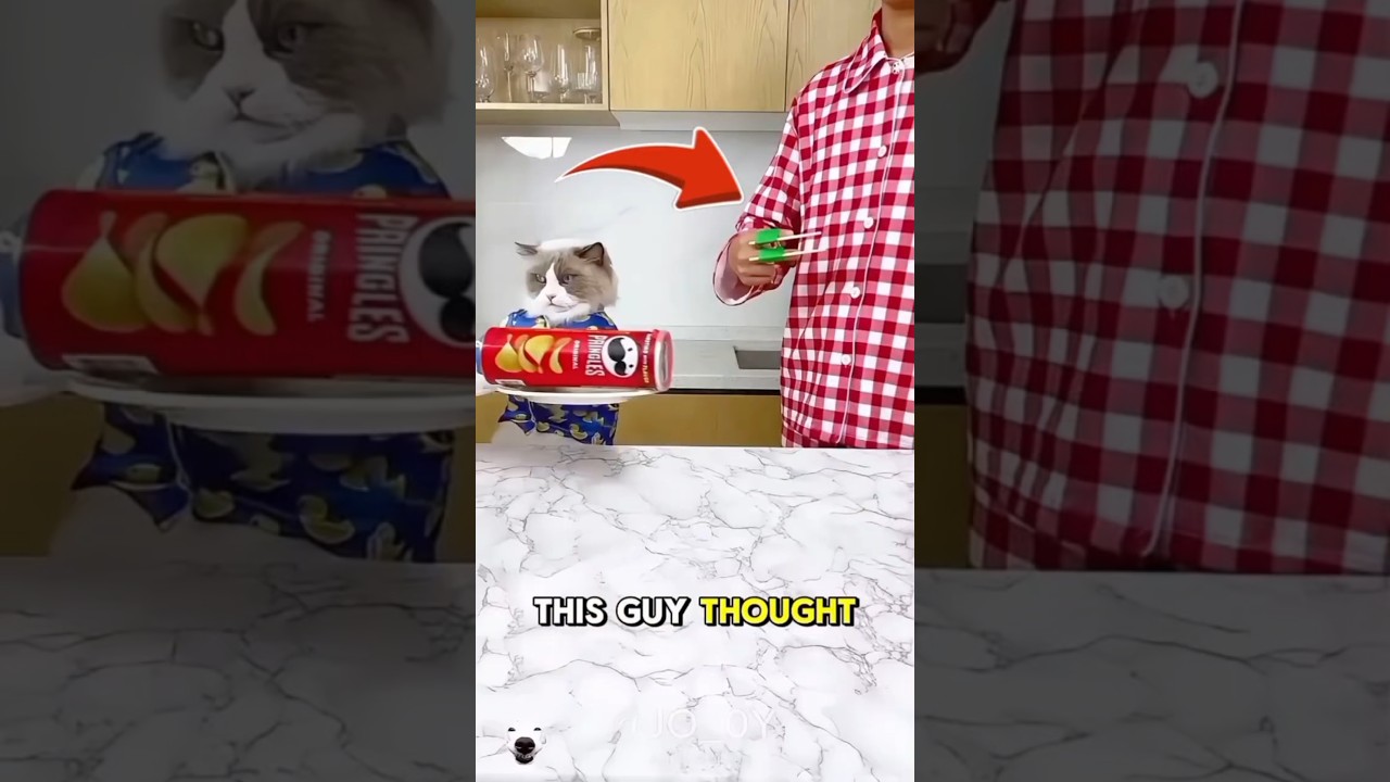 The owner was so MAD until the cat did this! 😡✨. 