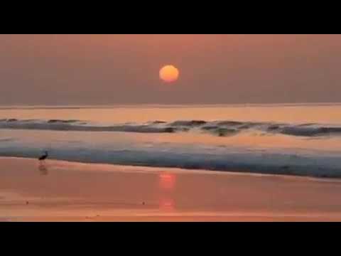 هي الأيام دائرة فلا تفرح و لا تحزن قاسم حمادي