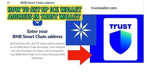 how to set up/add ice contract address to trust wallet under bnb smartchain