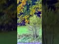 Natürlich bunt