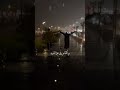 اليسا/أواخر الشتا 🎼⛈️☔✨