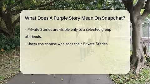 What Does A Purple Story Mean On Snapchat? - Everyday-Networking