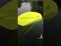 Let’s explore the DuPage River #shortsvideo #shortsfeed #shorts