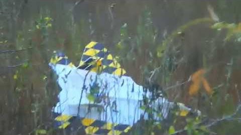 F22 Foamy Scratch-Build Flight And Crash on 11-15-17