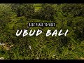 BEST Place to Visit in Ubud Bali | Tegalalang Rice Terrace &amp; Handara Gate