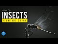 Amazing world of insects  trailer  coming soon