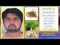 shatavari/satawar kay fayday aor nuqsanat|asparagus racemosus benefit and sideeffect by jolly azeem|