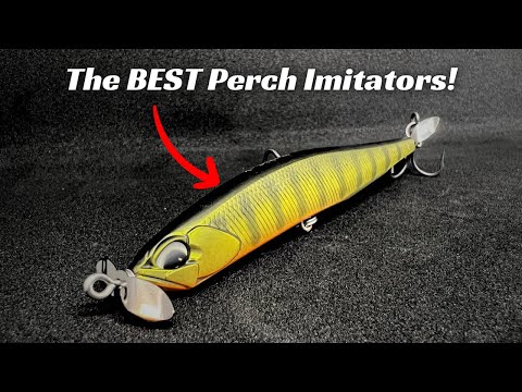 Perch Colors Can Be So Good At Catching Big Bass! You Need To