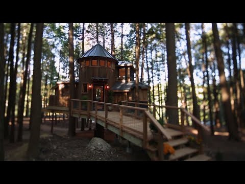Building a Magical Dream Treehouse in Less Than a Month