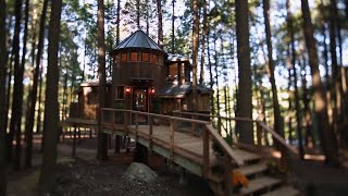 Building a Magical Dream Treehouse in Less Than a Month