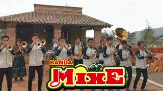 Viuda Alegre. Banda Mixe