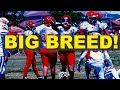 Prolific breed vs se tbirds  13u youth football  tx