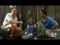 How to Plant a Butterfly Garden with your Kids